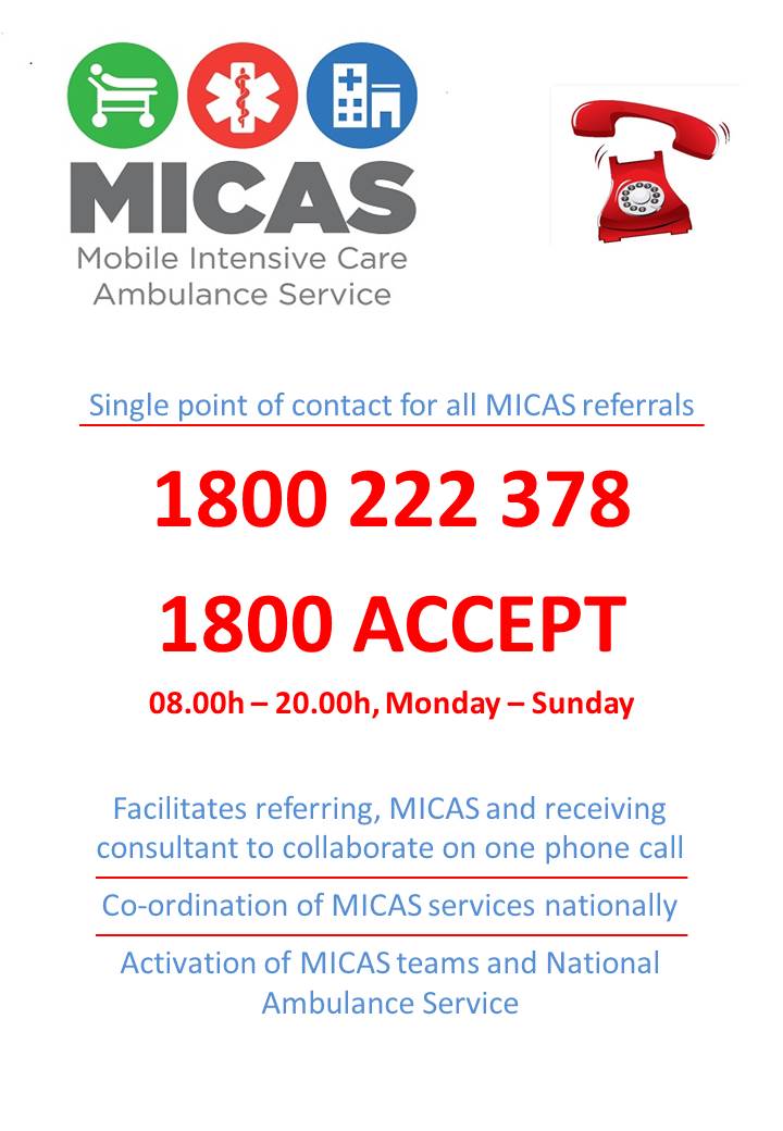 MICAS flyer